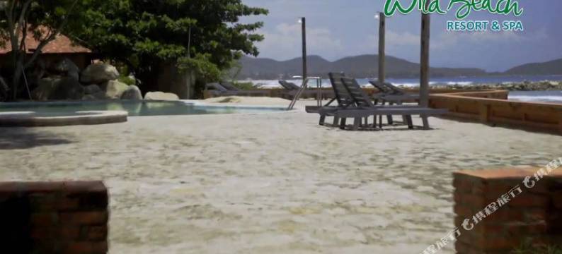 野生海滩度假村(Wild Beach Boutique Resort)图片
