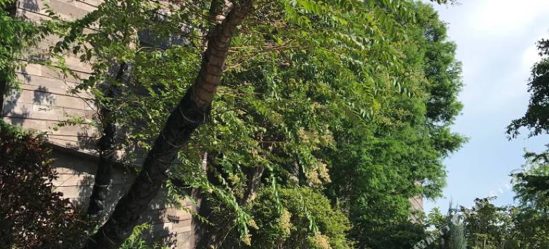 台中 水舞行馆图片