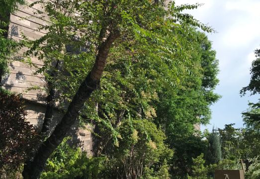 Shuei Wu City Villa MotelHotel Overview