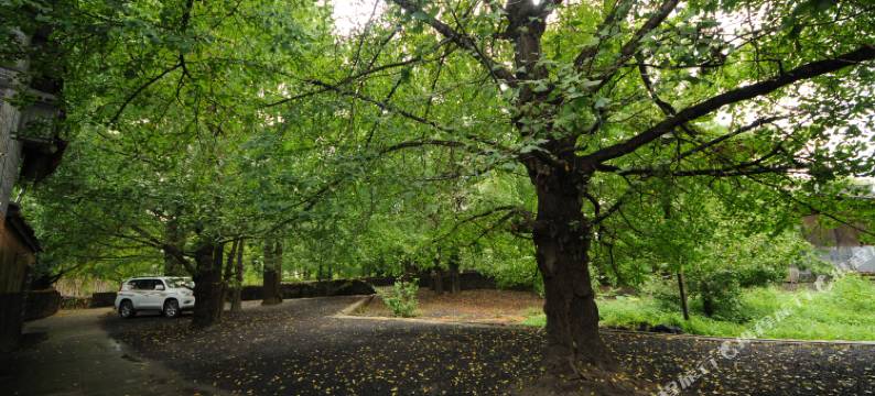 腾冲景硕园农家乐图片
