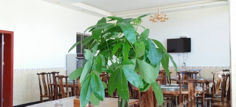 云阳廊桥度假酒店图片