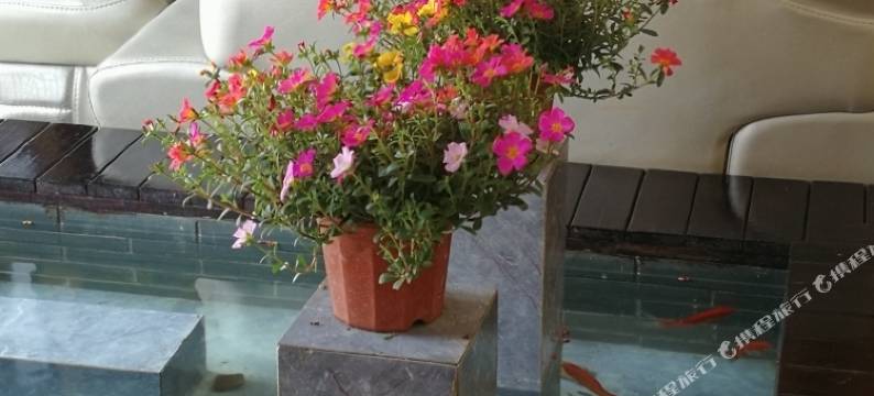 荔波古镇水乡风情酒店图片