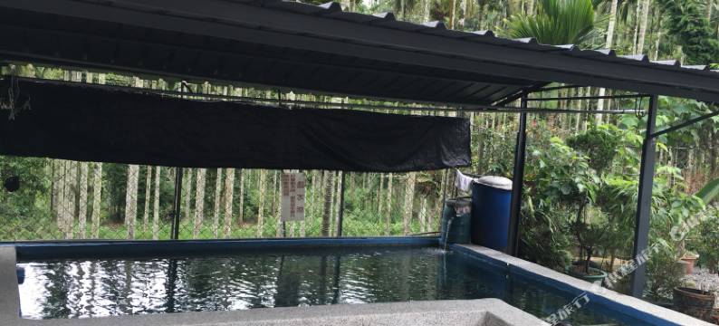 南投日月潭有水巷渡假民宿图片