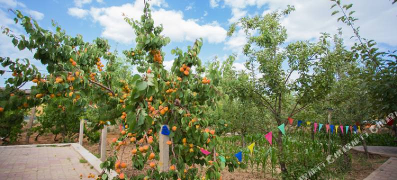 中卫童家乐园图片