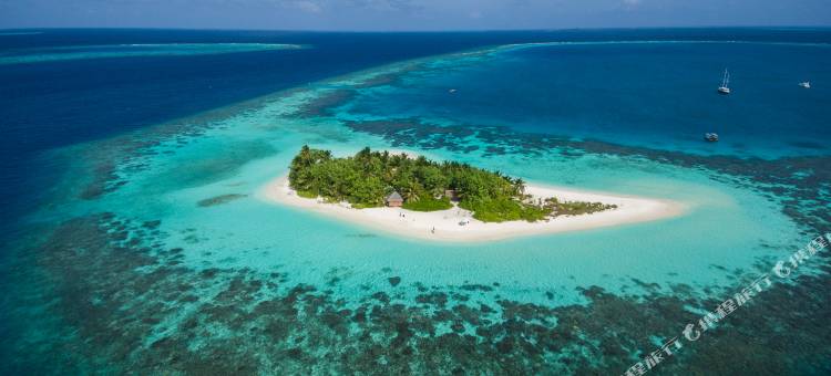 马尔代夫宁静岛W酒店(W Maldives)图片