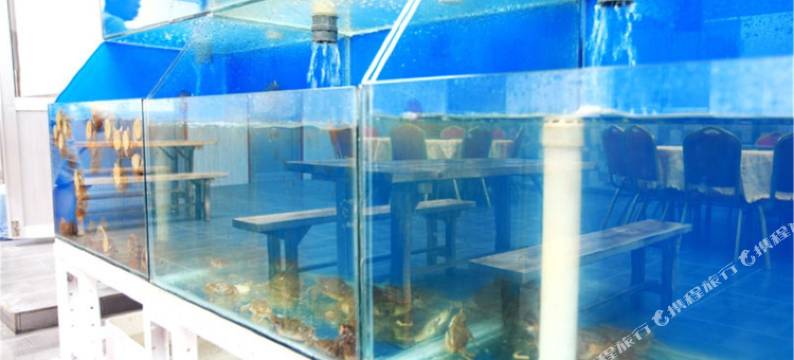 长岛近水楼台海景渔宿图片