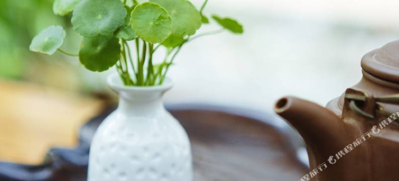 西塘古云轩庭院酒店图片