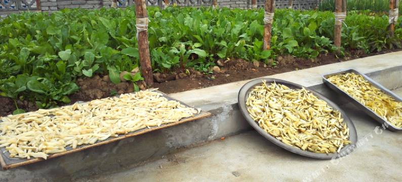 宽甸明月农家院图片