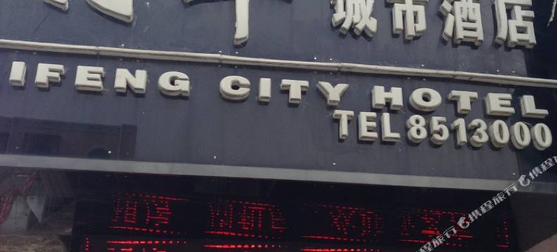 沙洋利丰城市酒店图片