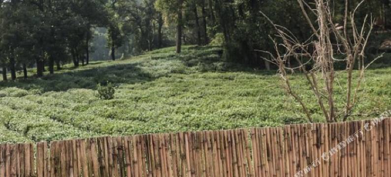 西湖独栋别墅图片