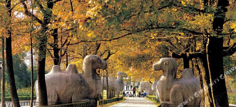 凯宾酒店公寓连锁(南京盛天大厦店)图片