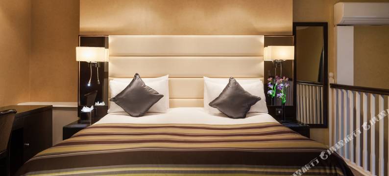 伦敦尊贵海德公园大酒店(Park Grand London Hyde Park)图片