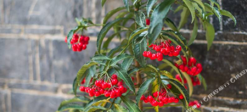 苏州水岸居民宿图片