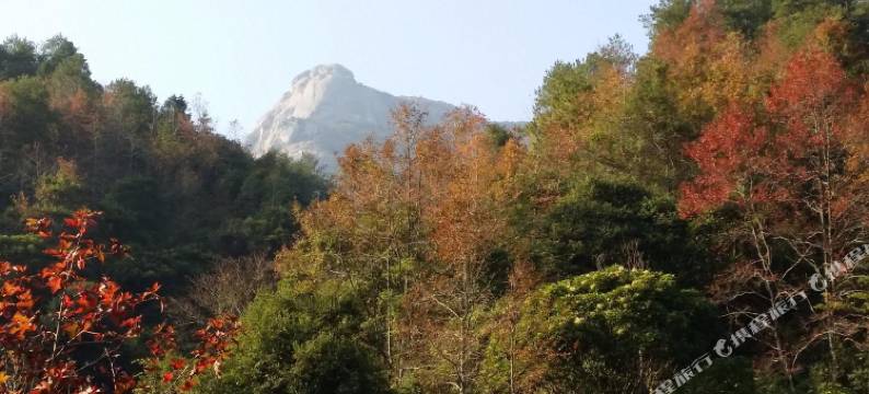 新丰一景泉温泉酒店图片