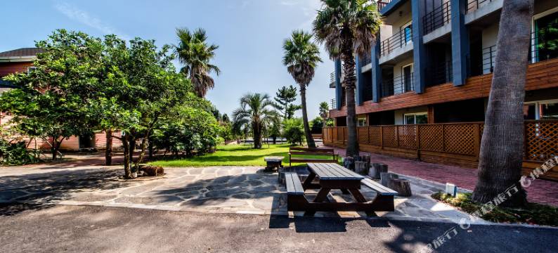 米里比高级旅馆-济州(Mirvill Pension & Resort)图片