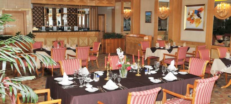 南阳金凯悦东方酒店图片