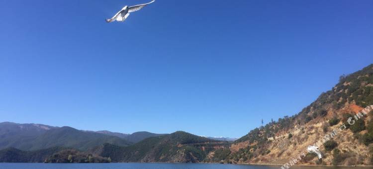 丽江泸沽湖逸尘精品客栈图片