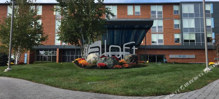 列克星顿雅乐轩酒店(Aloft Lexington)图片