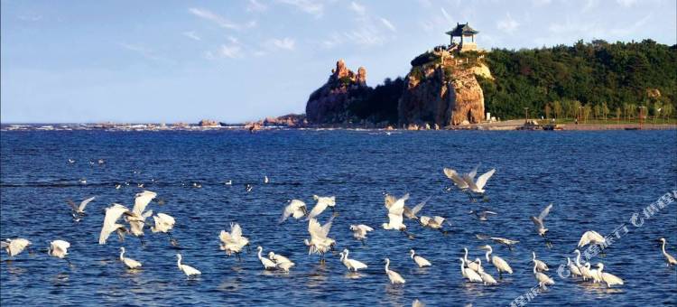 北戴河喜居近海公寓图片