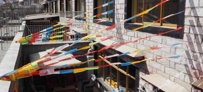 拉萨藏恋客栈图片