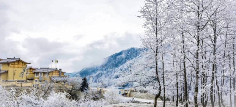 石棉孟获安澜居客栈图片