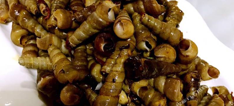 日照海边旅游民宿小院图片