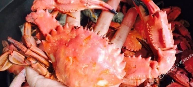 长岛亮丽渔家图片