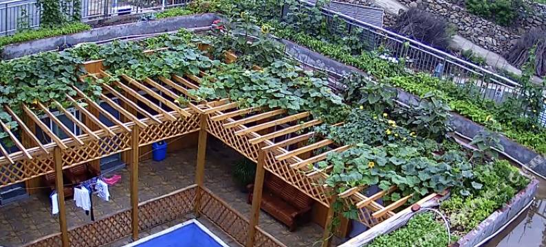 杨小艳民俗饭庄(雾灵西峰东极仙谷风景区店)图片