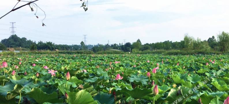 自贡仙市慢餐民宿图片