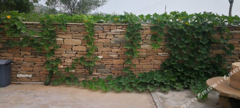 延川碾畔民宿图片