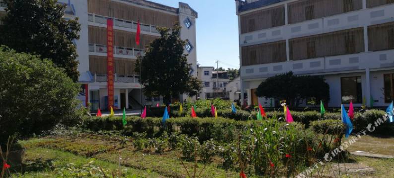 黄山望山公社特色酒店图片