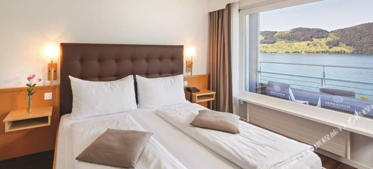 泽拉什瑞士品质酒店(Seerausch Swiss Quality Hotel)图片