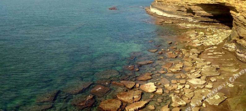 涠洲岛花儿开了海边客栈图片