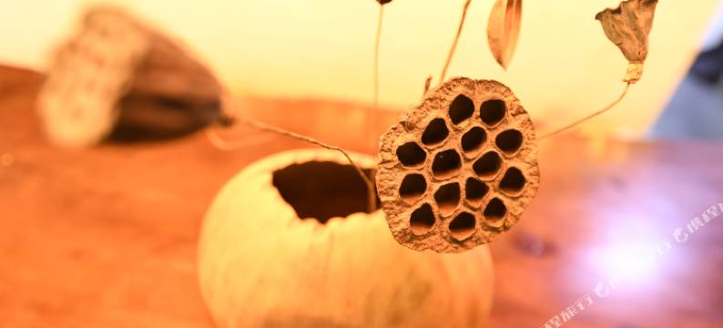 玐玥海青年旅舍(上海火车站店)图片