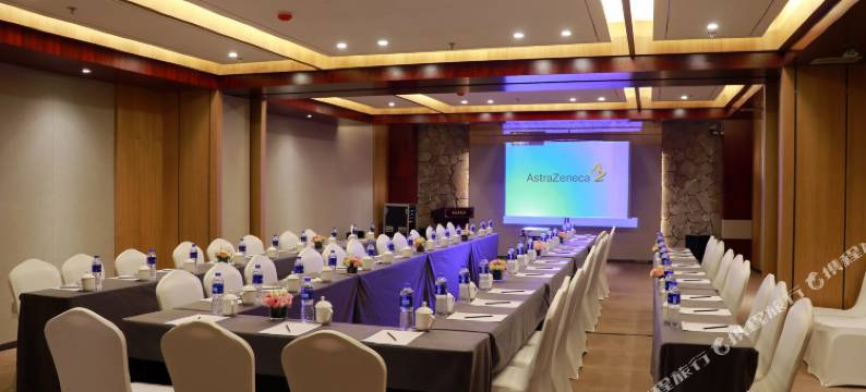 香格里拉第5颗陨石·光年酒店(独克宗古城店)图片