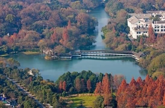 杭州西湖茶香丽舍民宿(太子湾店)图片