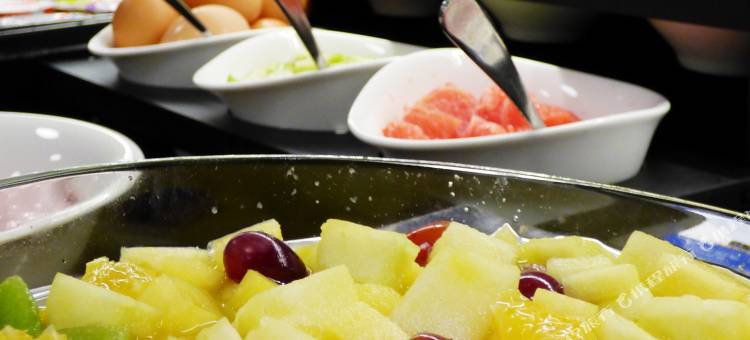 日内瓦辉盛国际公寓(Fraser Suites Geneva)图片