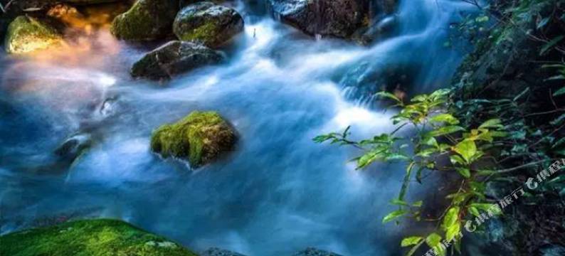 婺源红豆杉庄图片