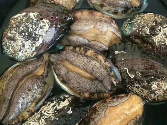 日照李正伟民宿