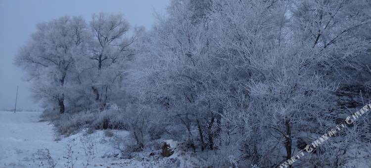 雾凇岛冰冰客栈图片