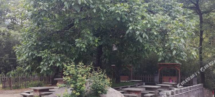 老君山醉竹山庄(云景索道店)图片