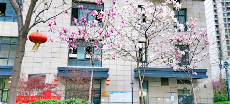 郑州琉璃苣青年旅社图片