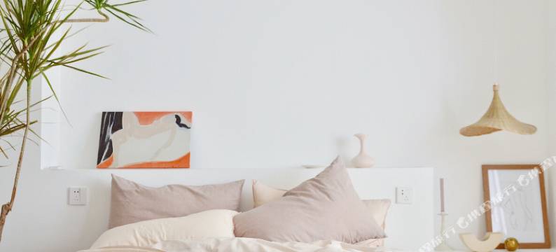 Salty设计生活民宿(西安小寨店)图片