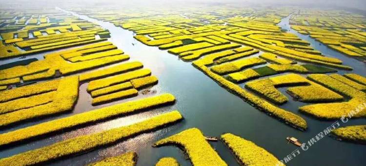 泰州鹏欣国际大酒店图片