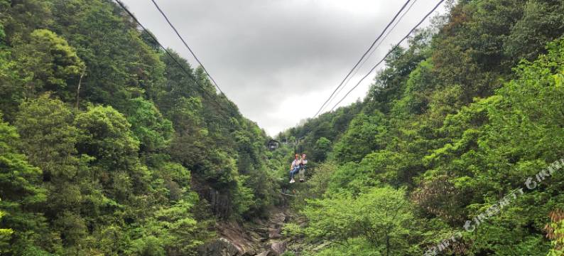 余姚醉仙楼饭店图片