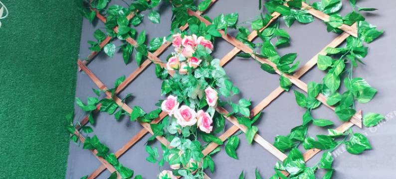 深圳浪漫漫客栈图片