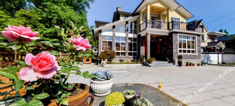 杭州银杏民宿图片