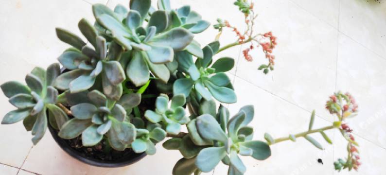 荔波驴满座青年旅舍图片