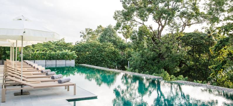 特雷布藏红花酒店(Treeline Urban Resort)图片