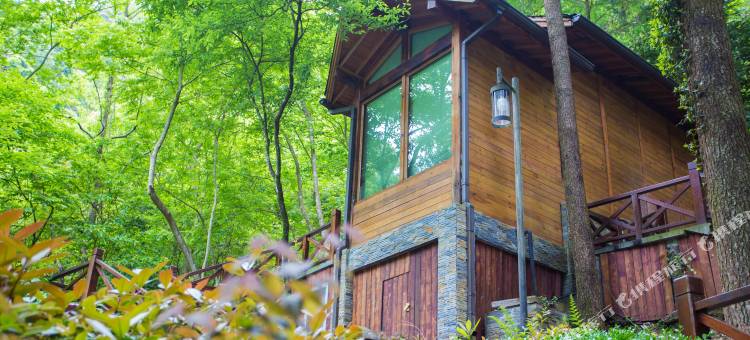 宁海森林温泉度假村图片